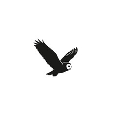 Obraz premium Majestic owl in flight with wings spread wide soaring