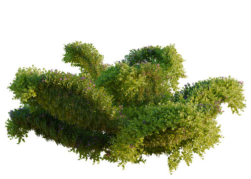 Bacopa diffusa tree, elevation, front view, cutout, transparent background, isolate, Detailed Green Plant with Purple Flowers, Close-Up, High Resolution for Botanical Design