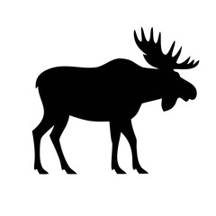 Black moose silhouette in different standing and walking poses,moose silhouette