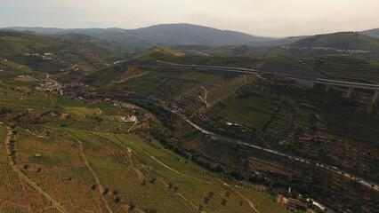 Aerial Photography of Alto Douro Wine Region in Portugal. Mountains Vineyards. Amazing Nature Landscape