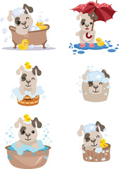 Fototapeta premium Adorable Puppy Having Fun With Bath Time And Rain