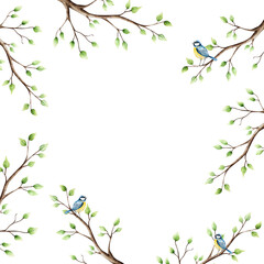 Spring branch with leaves and blue tit perche frame. Watercolor titmouse logo, copy space, easter hand drawn illustration isolated on background, transparent png. Botanical and wedding clip art. For © Natalia
