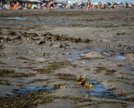 desecho , residuo, envoltura , tirada en la playa , contaminacion de un lugar publico de veraneo , falta de conciencia de cuidar la naturaleza