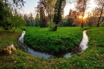 Warm golden sunset filtering through trees above a winding stream in a green spring park. Peaceful natural landscape with fresh grass, water reflections and vibrant evening light.