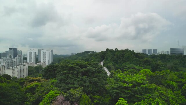 Henderson Waves pedestrian bridge seen from drone capturing aerial perspective above tropical forest Singapore