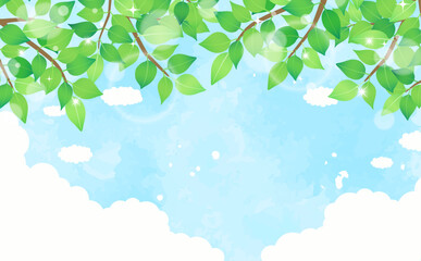 新緑と青空の背景3_横