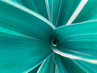 abstract background of green spiral