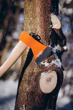 Hand holding an axe cutting a tree branch in winter, close-up with snow and natural light.