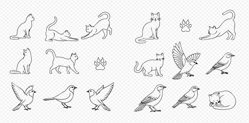 Set of outline illustrations of various cats and birds in different poses, including paw prints, on a transparent background. © Adji