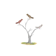 illustration of a flock of birds perched on a tree in autumn with green grass at the roots
