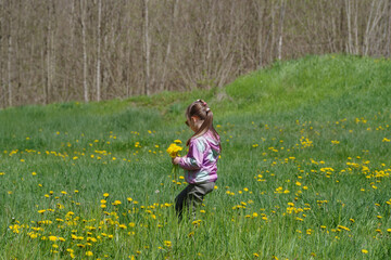 Girl picking flowers