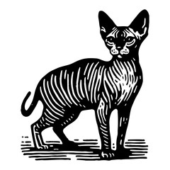 Fototapeta premium Sphynx Cat With Striped Fur Stands Against White Background Black And White Illustration