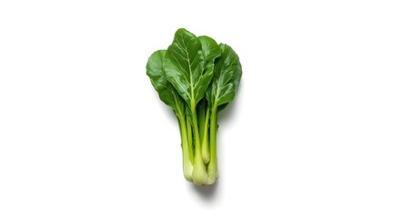 Crisp green baby bok choy cluster presented against pure white surface