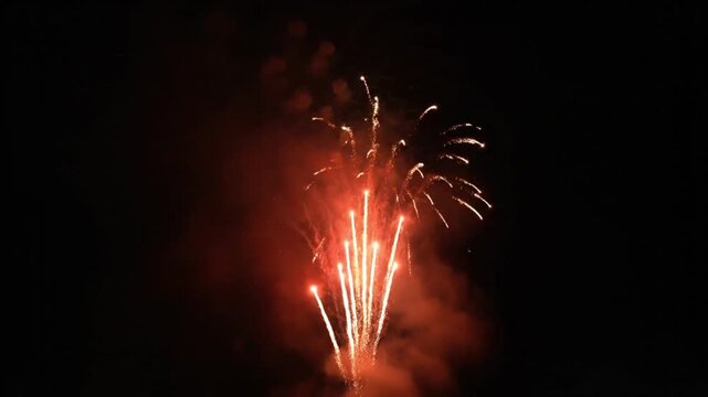 A single burst of green fireworks illuminates the dark night sky, surrounded by smoke and embers.