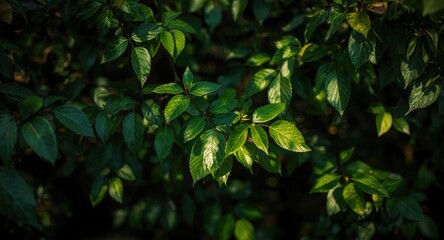 Obraz premium Abstract foliage texture with green leaves, natural summer theme, and tree patterns