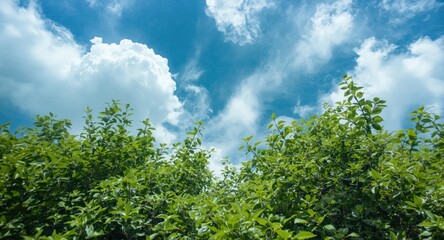 Fototapeta premium Original nature inspired watercolor featuring textured sky and energetic green summer foliage