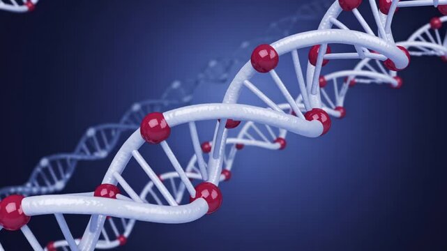 3D DNA Double Helix Structure with Red Molecular Nodes on Blue Background, Genetic Science Concept
