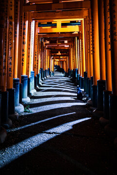 View of vermilion torii gates casting stark shadows along the stone path, inviting a solitary figure deeper into the sacred mountain, Fushimi Inari, Kyoto, Japan.