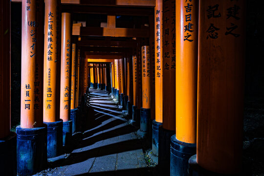 View of vermilion torii gates stretch into the darkness, forming a seemingly endless tunnel of cultural heritage and spiritual passage, Fushimi Inari, Kyoto, Japan.