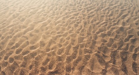 Obraz premium Aerial view of natural sand grain texture with soft lighting and copy space