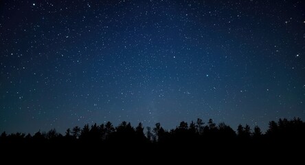 Fototapeta premium Starry night sky glowing above a quiet and shadowed forest scene