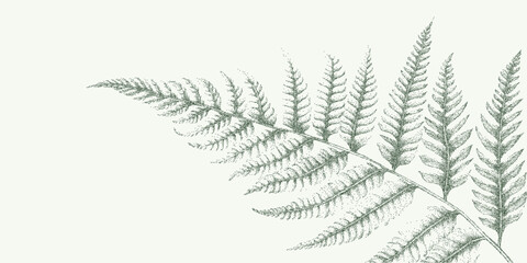 Naklejka premium Drawn graphic fern leaf with granular grain texture, scattered dust speckles and faint stains on aged paper with worn vintage imperfections.