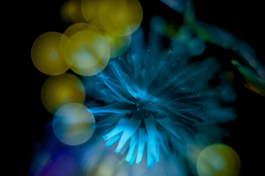 ペーパークラフトの花と玉ボケのカメラ内多重露光写真