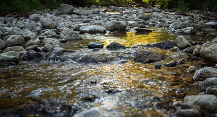 Stream bed with clear water flowing over an array of scattered stones