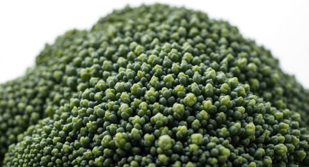Sharp detailed close up of green broccoli sprouts against white backdrop
