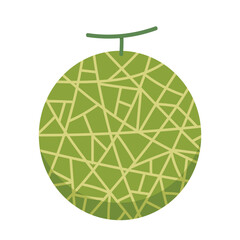 Melon vector. melon on white background. wallpaper. logo design. 