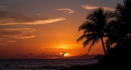 Obraz premium Quiet tropical sunset with vivid orange atmosphere and dark palm outlines