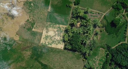 Fototapeta premium Remote sensing image of widespread sugarcane cultivation zones