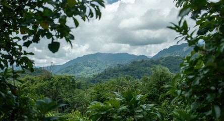 Spectacles framing serene landscape full of lush vegetation
