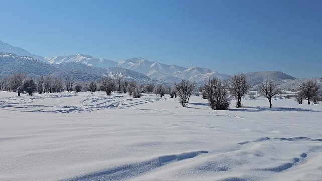 Snow-covered winter landscape with frost-coated trees and distant mountains under a clear blue sky, capturing the serene beauty of a peaceful, untouched natural scene.  
📍Marivan, Kurdistan 