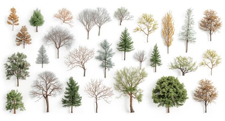 White background featuring a collection of separated trees with copy space