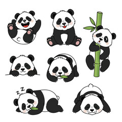 Naklejka premium Cute baby pandas