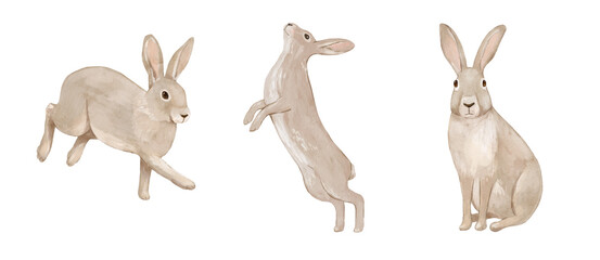 Obraz premium Watercolour cute rabbit. Woodland hand drawn isolated illustration, animals perfect for cards and nursery posters.