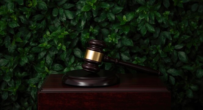 Legal gavel positioned on a dark wood block with rich green foliage backdrop symbolizing accountability and clemency