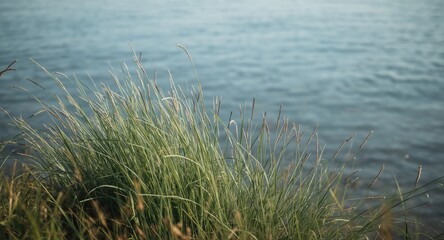 Green grass mass rising tall with peaceful clear water behind