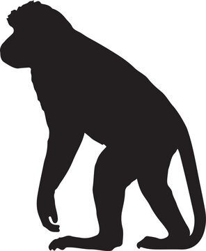 Monkey black silhouette vector