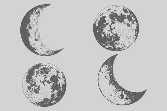 Realistic full Moon in vintage engraving style. Retro Moon phases planets in solar system. Engraved hand drawn in old sketch, vintage style for label. Eps 10