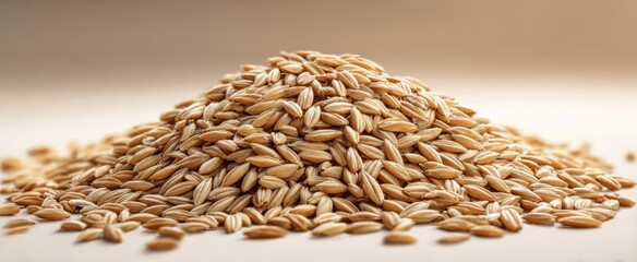 Obraz premium The Oat Grain Pile on White Surface with Soft Natural Light and Texture