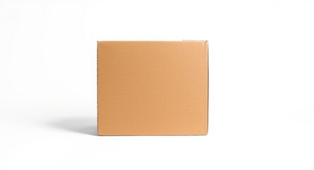 Front shot of a brown carton box isolated on plain white background