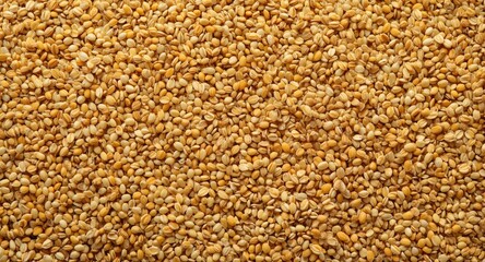 Fototapeta premium Malt seed pulverizing in a technology driven process with copyspace for text