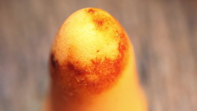 A close-up of an earplug with traces of earwax. View in soft focus at high magnification.