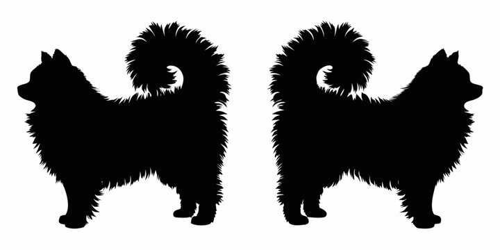 Two fluffy dogs in silhouette facing opposite directions