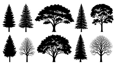 Various Tree Silhouettes Vector Set with Pine Deciduous and Bare Trees on White