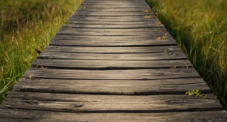 Obraz premium Faded plank bridge surface highlighted by bright grassy texture background