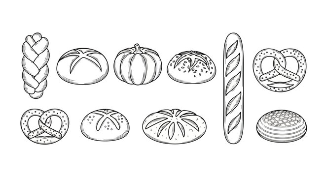 Assorted breads and pastries displayed in a variety of shapes and sizes Vector