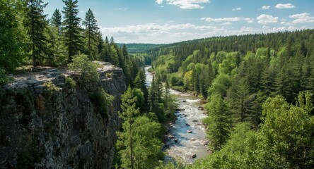 Refreshing forest and river scene from a cliff on a sunny summer day with copy space
